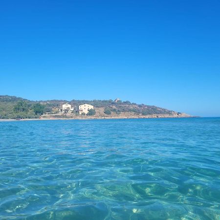 Charmant Petit Logement A 3 Kms De La Plage Belgodere  Luaran gambar
