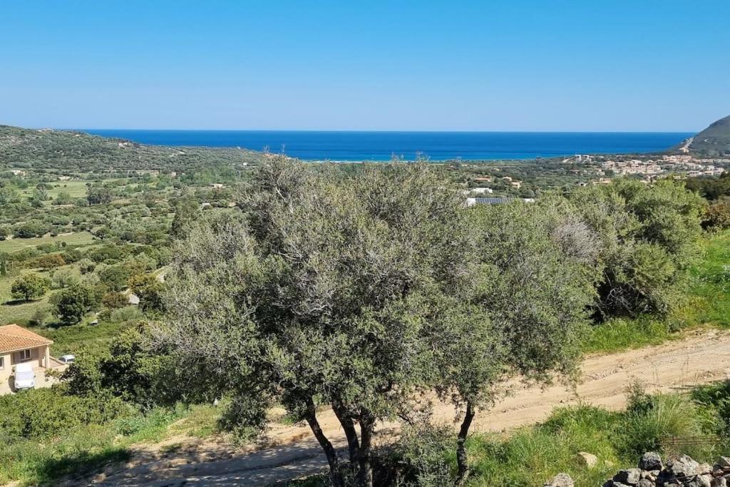 Charmant Petit Logement A 3 Kms De La Plage Belgodere  Luaran gambar