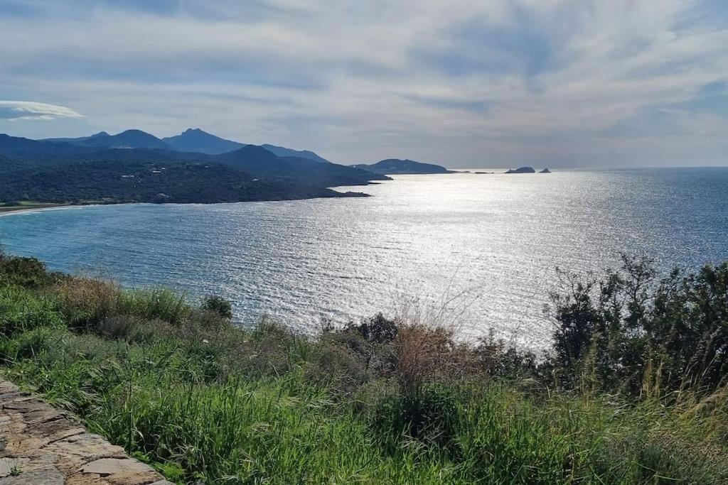 Charmant Petit Logement A 3 Kms De La Plage Belgodere  Luaran gambar
