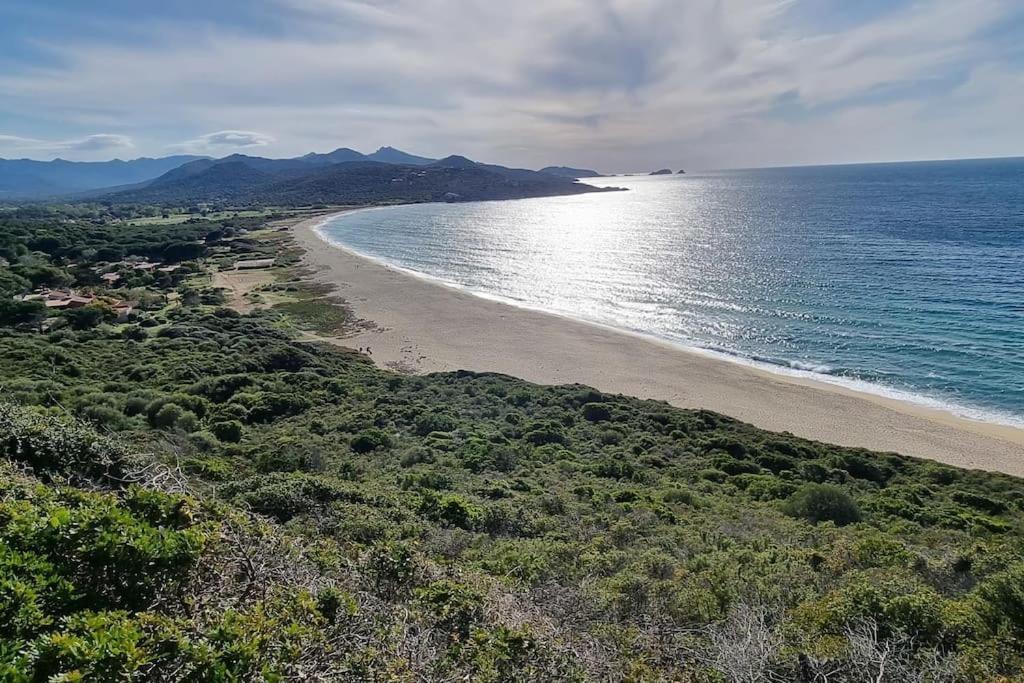 Charmant Petit Logement A 3 Kms De La Plage Belgodere  Luaran gambar