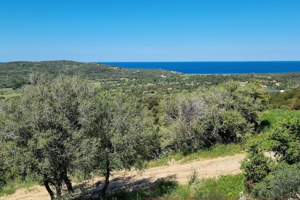 Charmant Petit Logement A 3 Kms De La Plage Belgodere  Luaran gambar